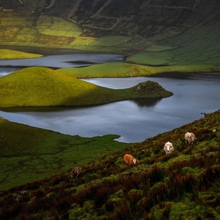 -МиР бЕз ГрАнИц-