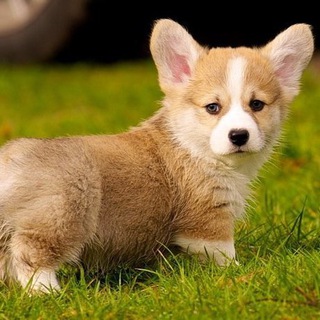 😑больше не полезные материалы😑