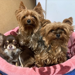 НАШИ ДРУЗЬЯ