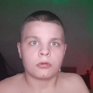 разные сливы от молика