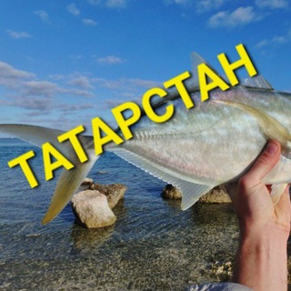 МОРЕ ПРОДУКТОВ. МОРЕ ВКУСА. ДОСТАВКА. ТАТАРСТАН