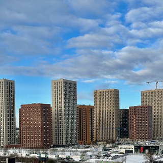 МП - Приемка и компенсация строительных недостатков Мичуринский парк