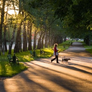 Гагаринский район