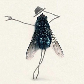 МУХИ ПЕРКОЛЯЦИИ