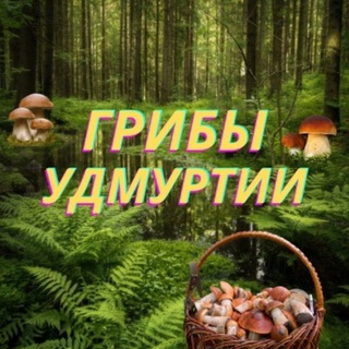 Грибы Удмуртии