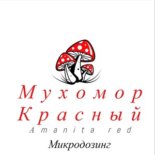 Мухомор красный муха54 в Новосибирске