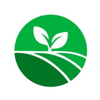 Микрозелень — Моя Зелень