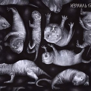 Голый землекоп Chat