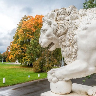 На связи Регионы