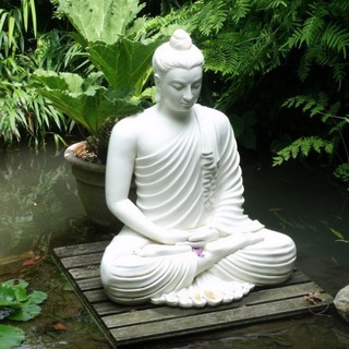 🤍Натуропатия и Исцеление🤍