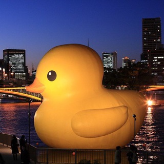 Свободный Питер | Лёша живи