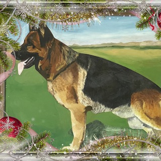 Немецкая овчарка | Форум | Немецкие овчарки