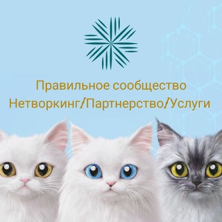 Услуги| Бизнессообщество| Нетворкинг