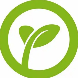 Фриланс чат