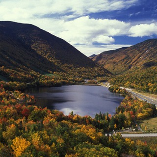 New Hempshire - The Free State Project