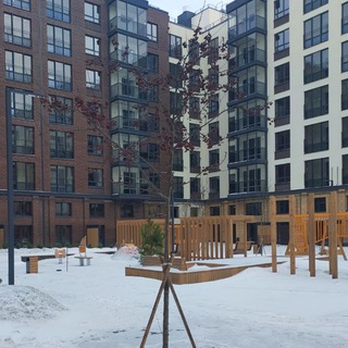 NewПитер 14 и 15 лот