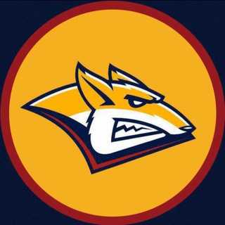 Независимая Гостевая 🏒