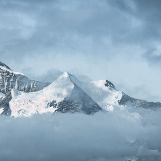 Продажа ООО/ИП, Объявления, Карты, Транзит, Обнал