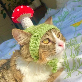 🔸беседа для общения 🔸