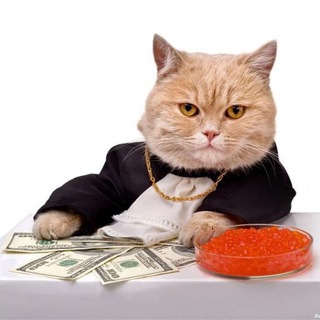 Обсудим? ➡️Заработок денег💰💰🤑