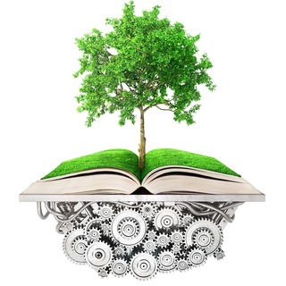 (Чат) Древо знаний