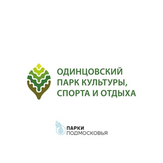 Чат Одинцовского парка