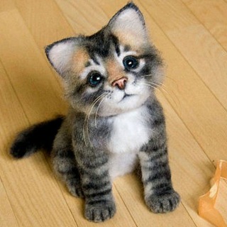 Новосибирский чат. Тебе сюда!