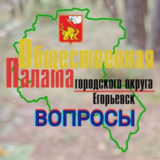 Общественная палата. Егорьевск. Вопросы.
