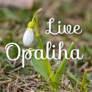 Опалиха - островок Красногорска