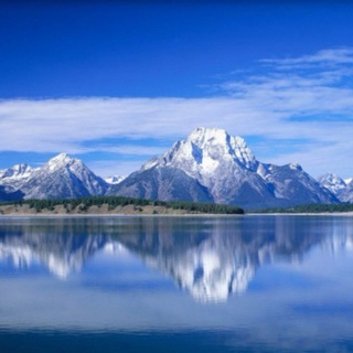 Золотая Горка - отдам даром! Чат.