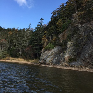 Помощь в озерске с IT