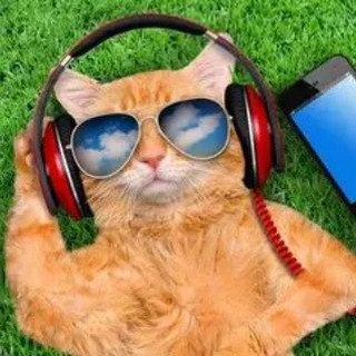 ПАРАЗИТЫ🤪