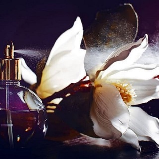 Parfume Dreams Communication