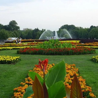 ЖК Park Fonte 🏡 Оценка & Приёмка Квартир | САФЕТИ