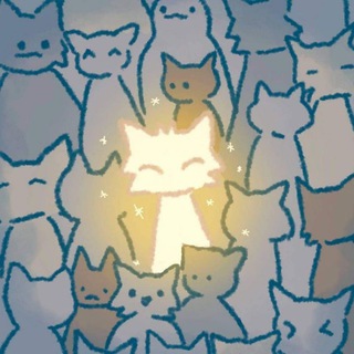 ⊹ .ᅠpearl coast ᅠ