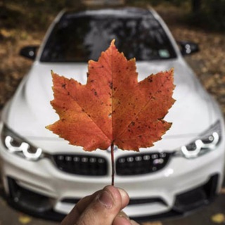 Авторынок перекупы МОСКВА ЧАТ