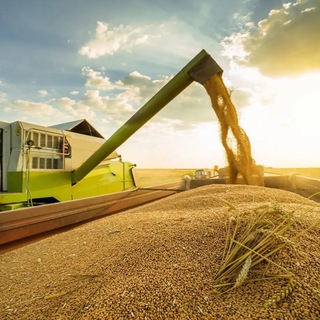 🚢ПЕРЕВОЗКА ЗЕРНА🚛