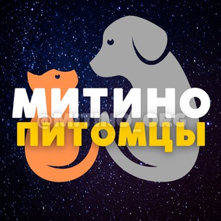 ПИТОМЦЫ 💙 МИТИНО • СЗАО | ЧАТ