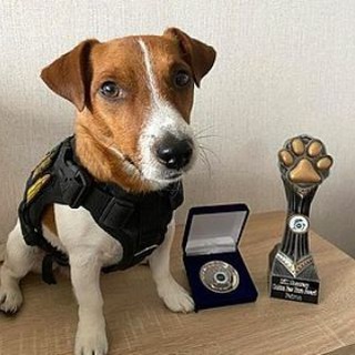 ПС99/ТТД/ПСХ #1