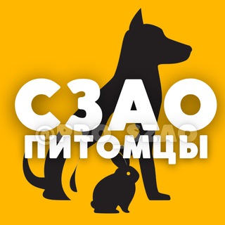ПИТОМЦЫ | СЗАО • Тушино • Митино • Чат