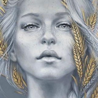 Пиар чат РЕКЛАМА БЕСПЛАТНО