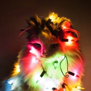 ПИАР ПРАВИЛ.NET 📊