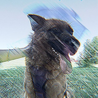 🫧Группа помощи(реклама)🫐