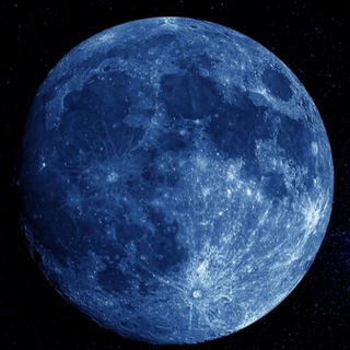 пиар чат | пиар ролок