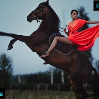 Бесплатный Пиар🧚‍♀