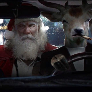 Пикабушники Рязани🍄