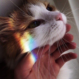 Заседание писателей 