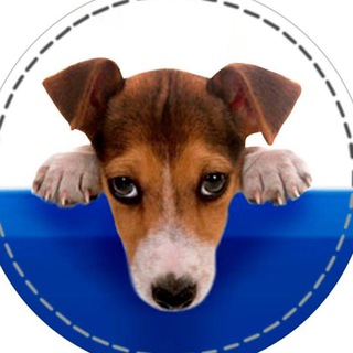 МОИ ПИТОМЦЫ Туапсе