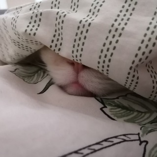 Ну полный пиздец😍