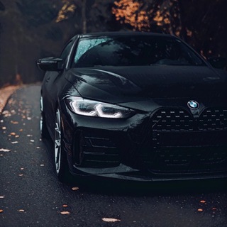 НА ПАУЗЕ 🔊